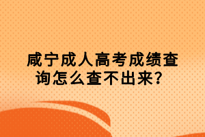咸寧成人高考成績查詢怎么查不出來？