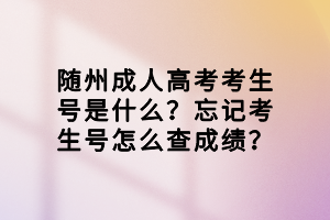 隨州成人高考考生號(hào)是什么？忘記考生號(hào)怎么查成績(jī)？