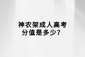 神農(nóng)架成人高考分值是多少？