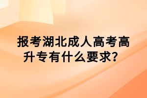 報(bào)考湖北成人高考高升專有什么要求？