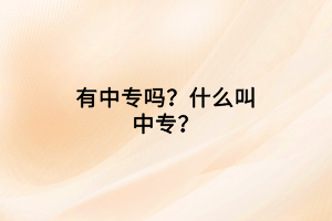 有中專嗎？什么叫中專？