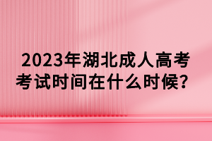 2023年湖北成人高考考試時間在什么時候？