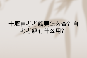 默認標(biāo)題__2023-05-12+11_03_41