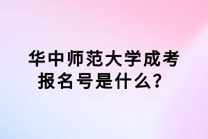 華中師范大學(xué)成考報(bào)名號(hào)是什么？
