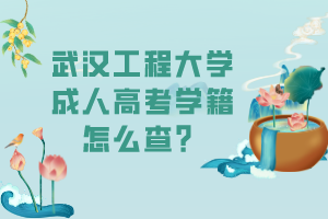 武漢工程大學(xué)成人高考學(xué)籍怎么查？