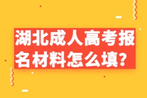 湖北成人高考報名材料怎么填？