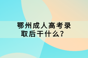 鄂州成人高考錄取后干什么？