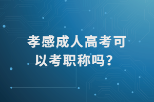 孝感成人高考可以考職稱嗎？