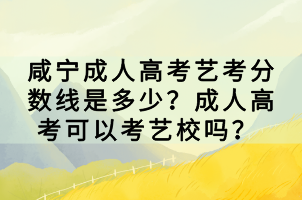 咸寧成人高考藝考分?jǐn)?shù)線是多少？成人高考可以考藝校嗎？