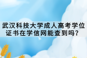 武漢科技大學成人高考學位證書在學信網(wǎng)能查到嗎？