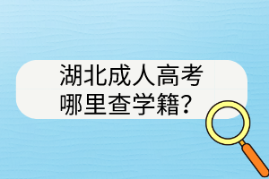 湖北成人高考哪里查學(xué)籍？