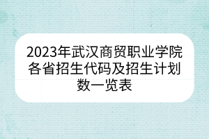 2023年武漢商貿(mào)職業(yè)學院各省招生代碼及招生計劃數(shù)一覽表