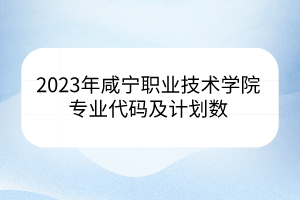 2023年咸寧職業(yè)技術(shù)學(xué)院專業(yè)代碼及計劃數(shù)