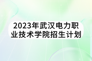 2023年武漢電力職業(yè)技術(shù)學院招生計劃
