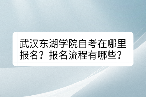 武漢東湖學(xué)院自考在哪里報名？報名流程有哪些？