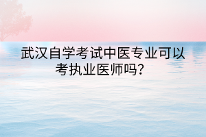 武漢自學(xué)考試中醫(yī)專業(yè)可以考執(zhí)業(yè)醫(yī)師嗎？