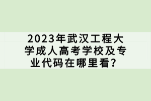 2023年武漢工程大學成人高考學校及專業(yè)代碼在哪里看？