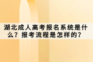 湖北成人高考報(bào)名系統(tǒng)是什么？報(bào)考流程是怎樣的？