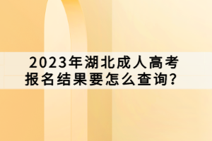 2023年湖北成人高考報(bào)名結(jié)果要怎么查詢？
