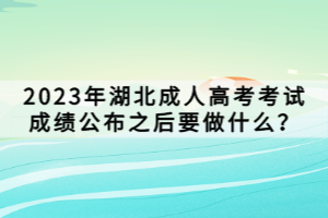 2023年湖北成人高考考試成績公布之后要做什么？
