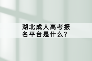 湖北成人高考報名平臺是什么？