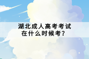 湖北成人高考考試在什么時候考？