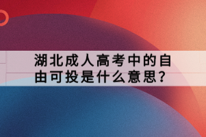 湖北成人高考中的自由可投是什么意思？