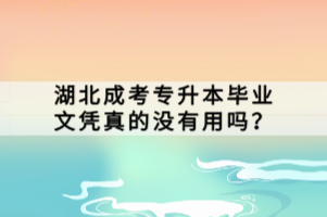 湖北成考專升本畢業(yè)文憑真的沒有用嗎？