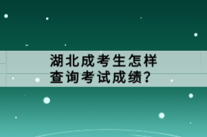 湖北成考生怎樣查詢考試成績(jī)？