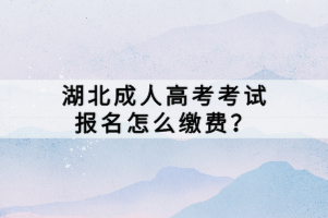 湖北成人高考考試報(bào)名怎么繳費(fèi)？