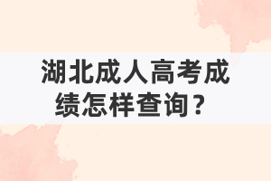 湖北成人高考成績怎樣查詢？