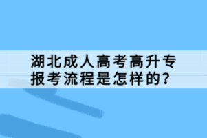 湖北成人高考高升專報考流程是怎樣的？