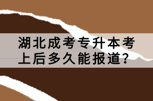 湖北成考專升本考上后多久能報道？