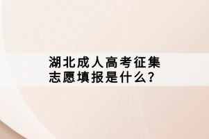 湖北成人高考征集志愿填報是什么？