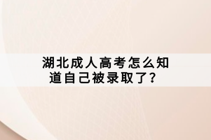 湖北成人高考怎么知道自己被錄取了？