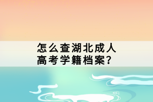 怎么查湖北成人高考學籍檔案？