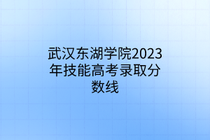 武漢東湖學院2023年技能高考錄取分數(shù)線