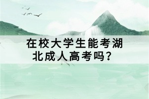 在校大學(xué)生能考湖北成人高考嗎？