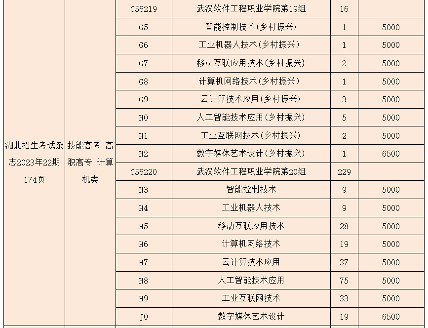 2023年武漢軟件工程職業(yè)學(xué)院湖北技能高考、藝術(shù)類、體育類志愿填報(bào)指南