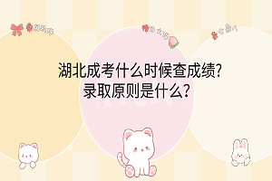 卡通手繪風(fēng)可愛(ài)電腦分區(qū)壁紙__2024-03-09 11_29_26