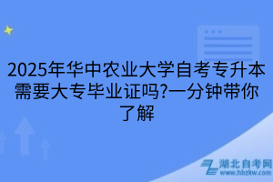 默認(rèn)標(biāo)題__2025-04-23+10_10_57