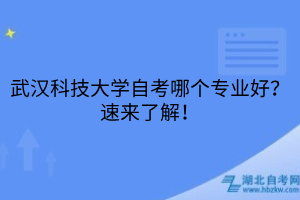 默認(rèn)標(biāo)題__2025-05-20+10_14_06