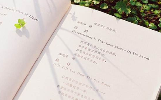 成人高考專升本藝術(shù)概論?？贾R點歸納2：藝術(shù)鑒賞