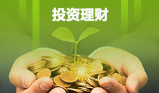 中南財(cái)經(jīng)政法大學(xué)自考投資學(xué)本科(020304)專(zhuān)業(yè)介紹及課程設(shè)置