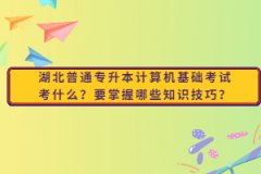 湖北普通專升本計算機基礎(chǔ)考試考什么？要掌握哪些知識技巧？
