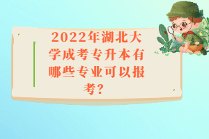 2022年湖北大學(xué)成考專升本有哪些專業(yè)可以報考？