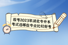 報考2023年湖北專升本考試選哪些專業(yè)比較好考？