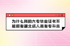 為什么我的大專畢業(yè)證書不能報考湖北成人高考專升本？