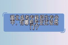 湖北成考?？普猩鷮I(yè)中，有哪些專業(yè)比較熱門？