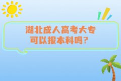 湖北成人高考大?？梢詧?bào)本科嗎？
